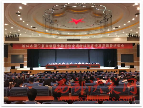 1497696726333840.png 1.png