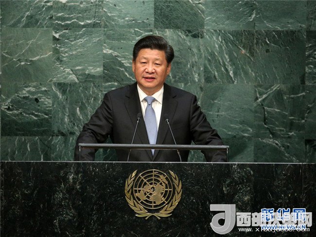 1510882707312410.jpg 16.jpg