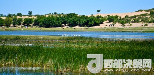 阿魯科爾沁保護區(qū)濕地沙丘。吳勇攝