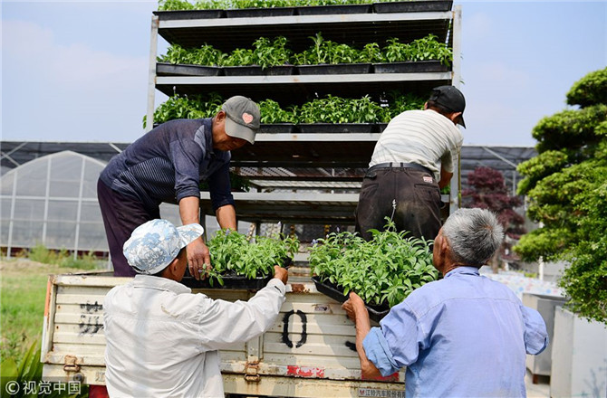 數(shù)字經(jīng)濟(jì)已經(jīng)成為我國經(jīng)濟(jì)社會(huì)更好發(fā)展的重要推動(dòng)力，也為我國鄉(xiāng)村發(fā)展提供了新的歷史機(jī)遇。（圖片來源：視覺中國）