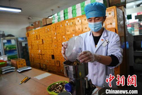疫情發(fā)生以來，甘肅確保所有病例盡早、及時、全程使用中醫(yī)中藥，努力做到“一患一方案”。(資料圖) 楊艷敏 攝