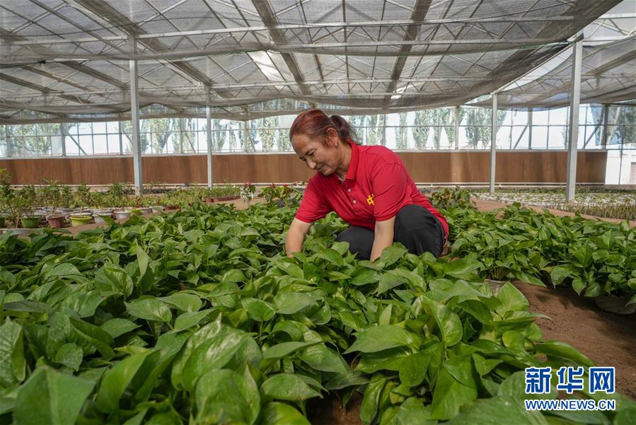 （新華全媒頭條·圖文互動）（11）旗引天山南北　譜寫發(fā)展新篇——以習(xí)近平同志為核心的黨中央關(guān)心新疆工作紀(jì)實